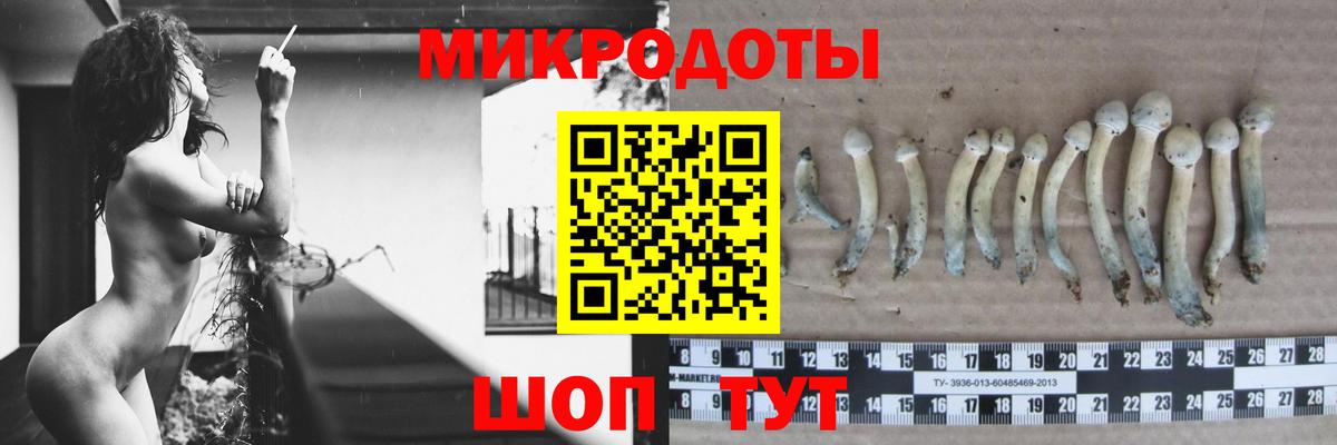 Галлюциногенные грибы Psilocybine cubensis  Вход с VPN  Кузнецк  Псилоцибиновые грибы ЛСД 